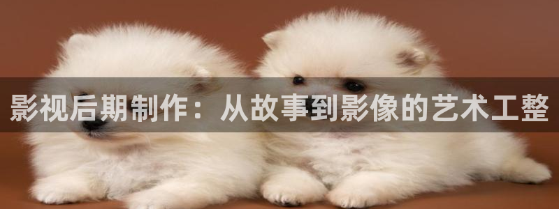 yy6080影视在线观看：影视后期制作：从故事到影像的艺术工整