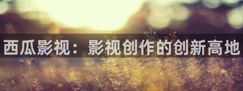 6080新视觉影院理论