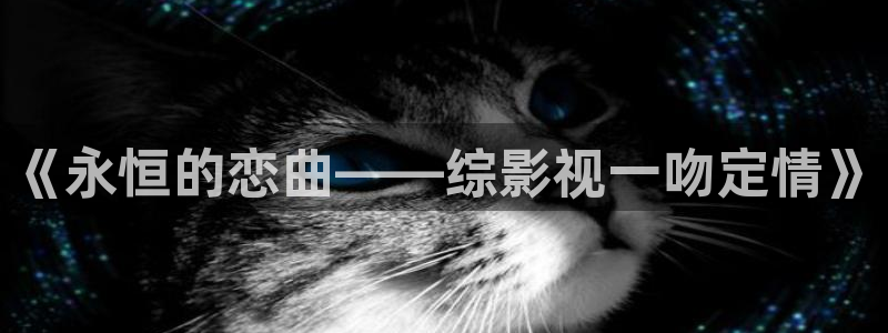 6080新视觉影院电影网