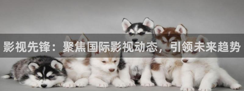 yy6080新世界影院